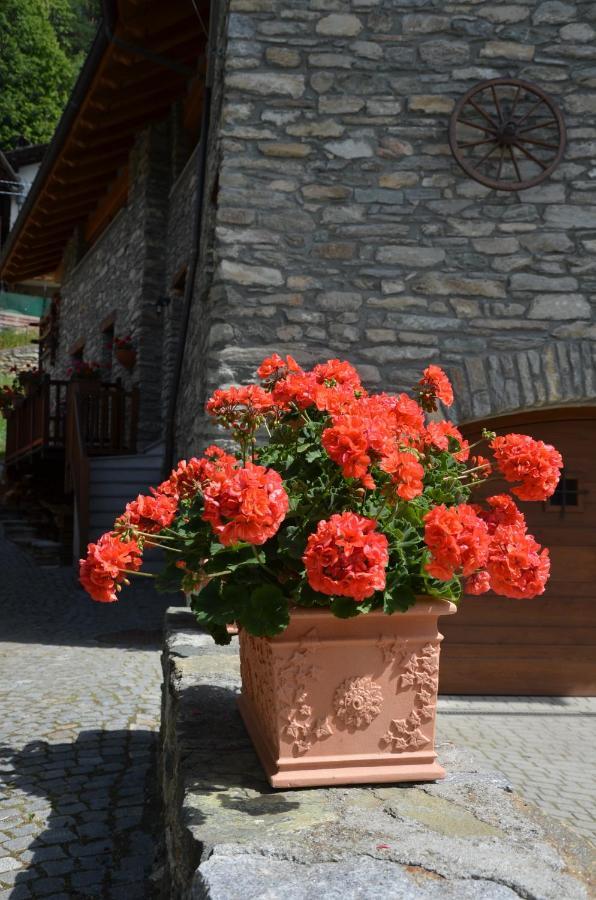 Apartment With Garden Villeneuve Exterior photo